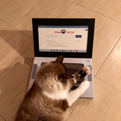 😺Wir stellen vor: Das urkomische „Kratz- und Pfotbook“😹💻