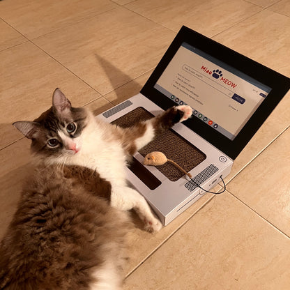 😺Wir stellen vor: Das urkomische „Kratz- und Pfotbook“😹💻