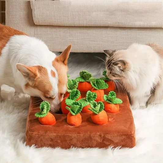 🥕🍓Verrücktes, quietschendes Schnüffelspielkissen! - Ausgrabespiel für Doggy und Kitty🍓🥕