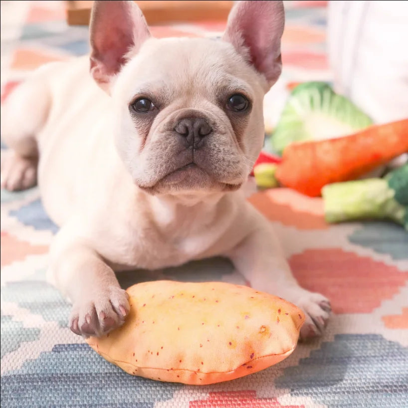 🍖🥦Lach dich scheckig! - Wahnsinnig komisches Doggy- und Kittyspielzeug🍤🥬