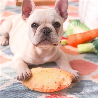 🍖🥦Lach dich scheckig! - Wahnsinnig komisches Doggy- und Kittyspielzeug🍤🥬