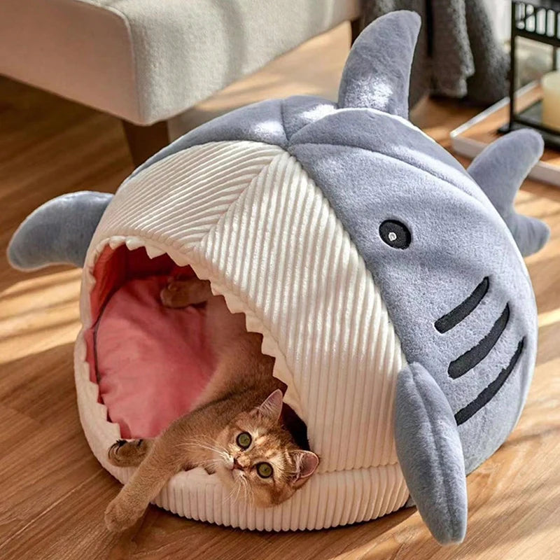 🦈„Paws in Jaws“ – Oh nein, Kitty wird von einem Hai verschlungen!🙀