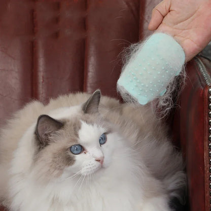 "¡Esto es mío!" - Cepillo de masaje para gatitos que se cuida solo