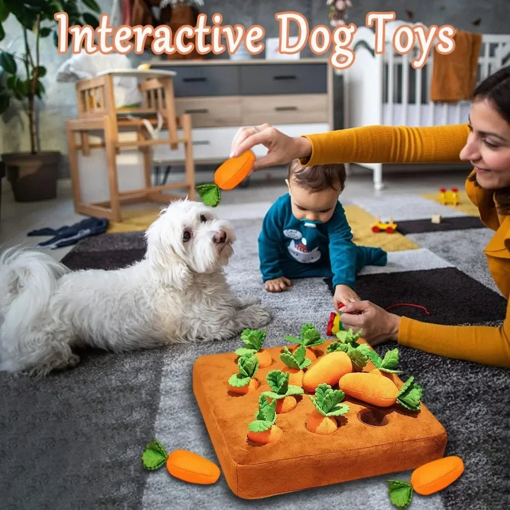 🥕🍓Verrücktes, quietschendes Schnüffelspielkissen! - Ausgrabespiel für Doggy und Kitty🍓🥕