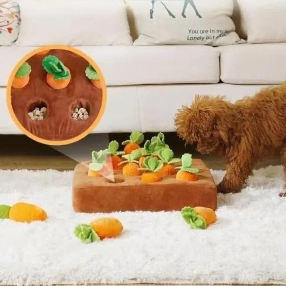 🥕🍓Verrücktes, quietschendes Schnüffelspielkissen! - Ausgrabespiel für Doggy und Kitty🍓🥕