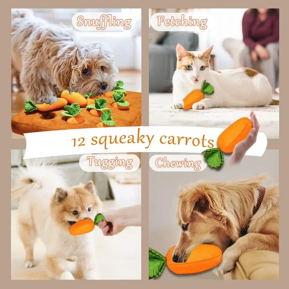 🥕🍓Verrücktes, quietschendes Schnüffelspielkissen! - Ausgrabespiel für Doggy und Kitty🍓🥕