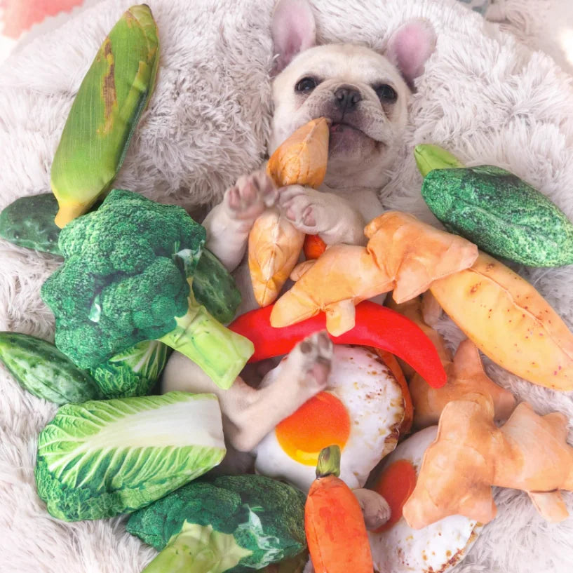 🍖🥦Lach dich scheckig! - Wahnsinnig komisches Doggy- und Kittyspielzeug🍤🥬