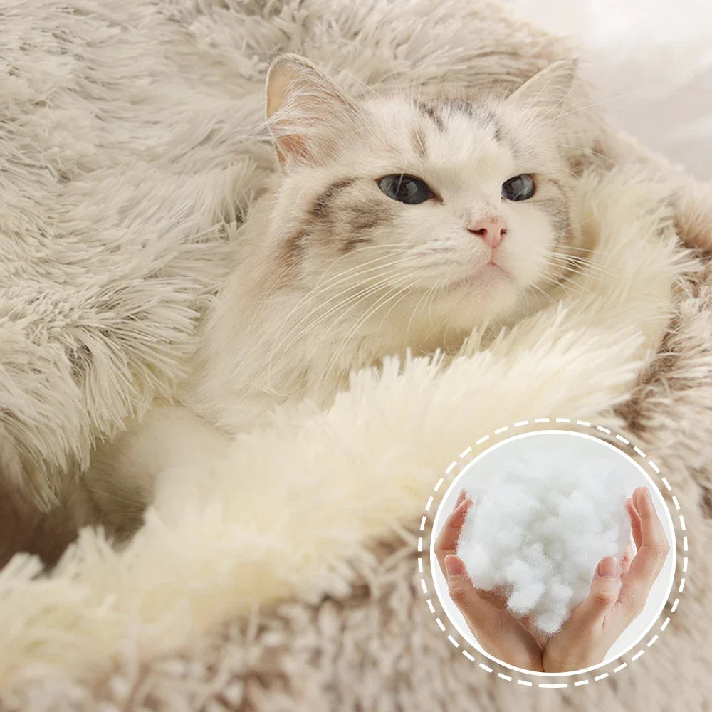 ⛅„Flauschwölkchen“ – Könnte dies das flauschigste Katzenbett aller Zeiten sein?☁️