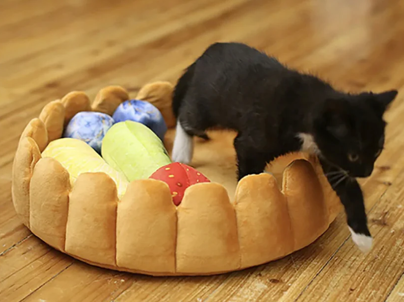 🥝🍓"Tarta de Frutas Deliciosa" - La cama para gatos y perros más divertida😹