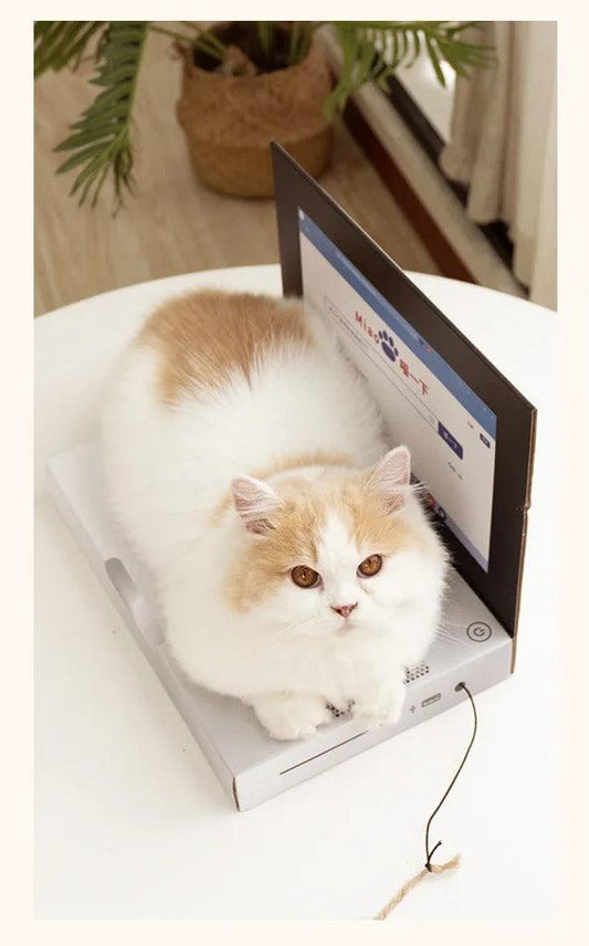 😺Wir stellen vor: Das urkomische „Kratz- und Pfotbook“😹💻